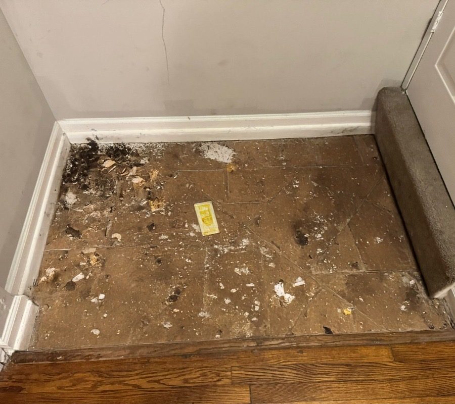 Flooring and clean-out before